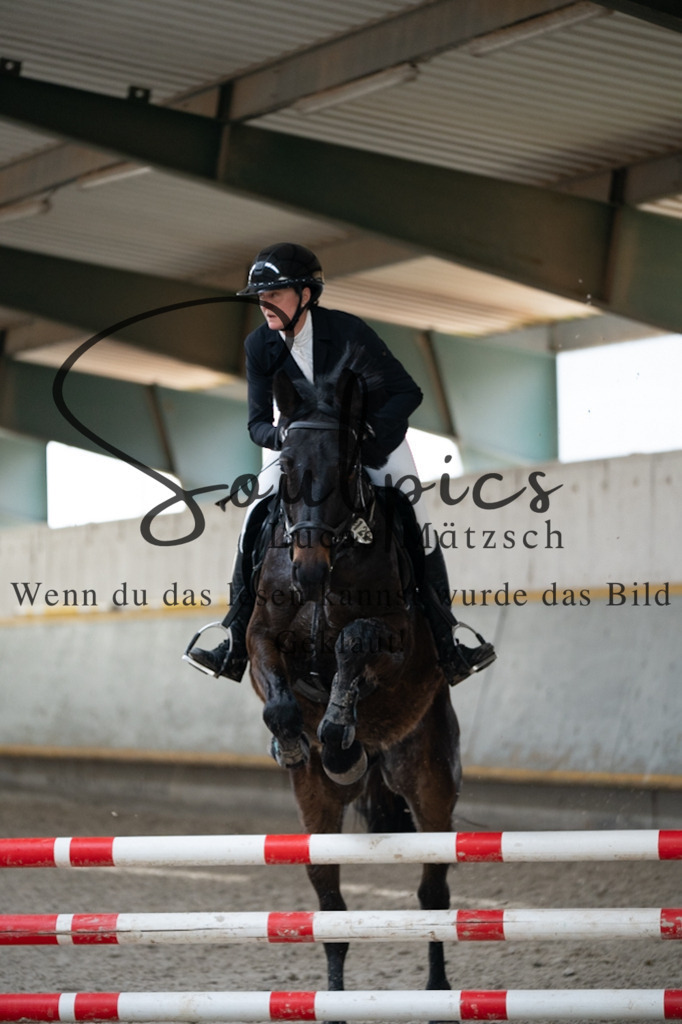 A7V03512 | Pferdefotograf