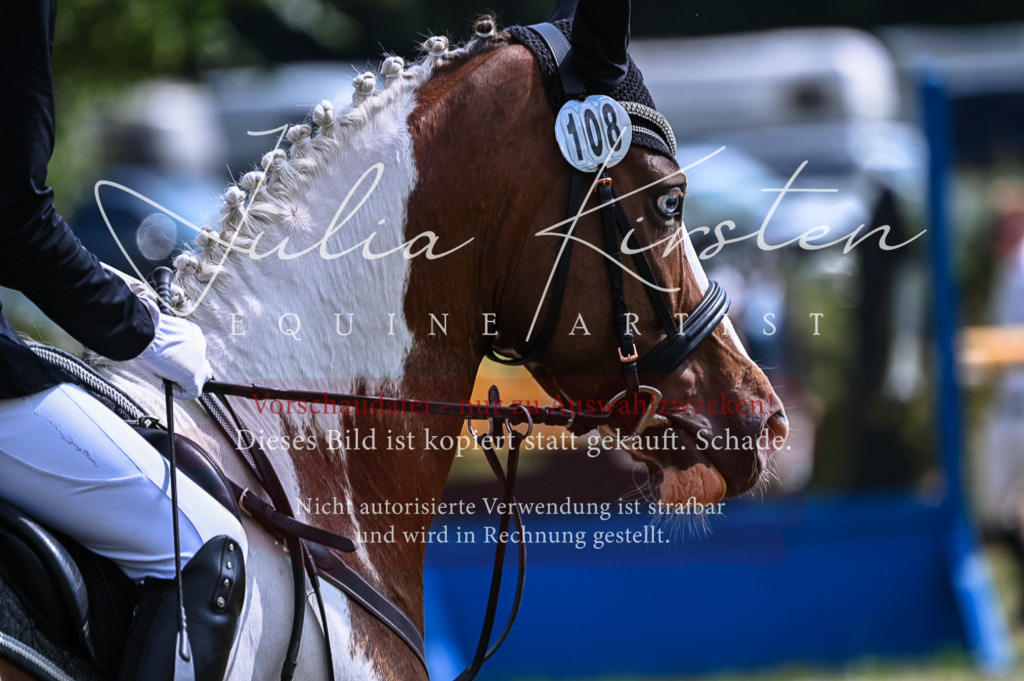 DSC_8534 | Pferde- und Turnierfotografie in Westsachsen. Pferdeportraits, Auftragszeichnungen und intuitive Kunst.