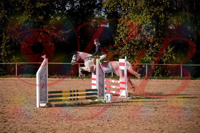 2026_10_03_Siefer-Hof_155148_Z81_71081174 | Professionelle Reitsport-, Turnier- und Eventfotografie von Robert Broda. Galerien mit ausgewählten und bearbeiteten Bildern direkt online ansehen und bestellen.