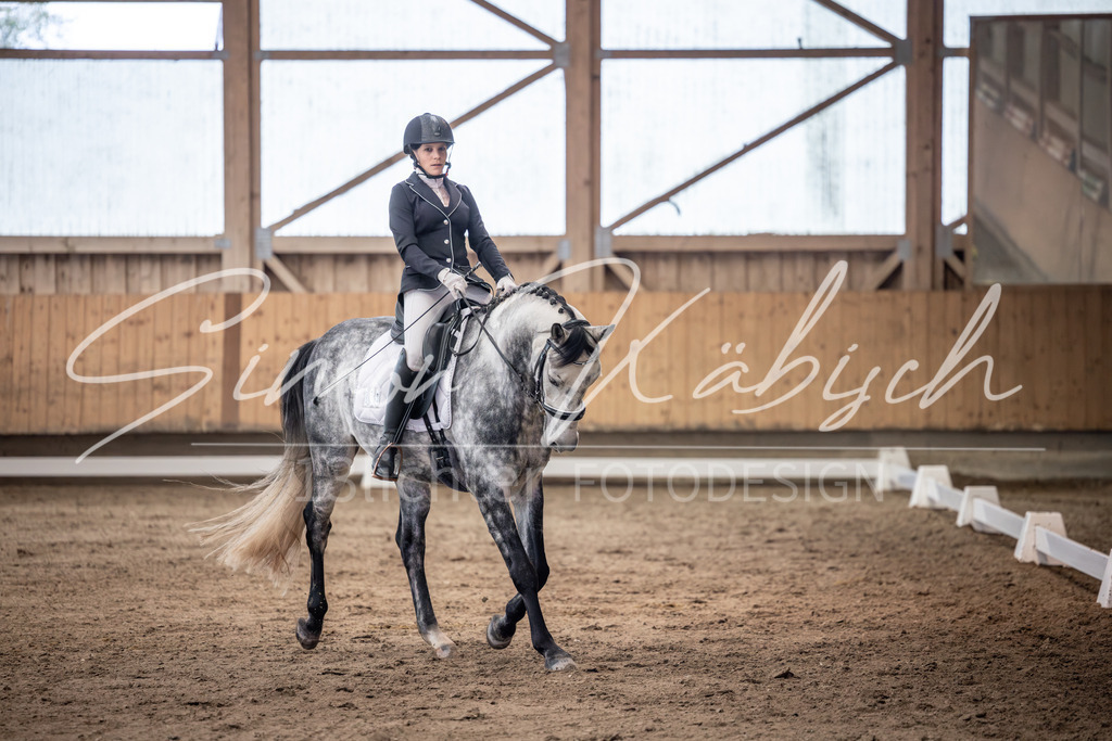 20251011-_3LI1391 | Tierfotografie Pferde, Hunde, Katzen, Haustiere.
Turnierfotografie Reitturniere, Reiten, Springreiten, Dressur in Hanau, dem Main-Kinzig-Kreis und dem Rhein-Main- Gebiet um Frankfurt