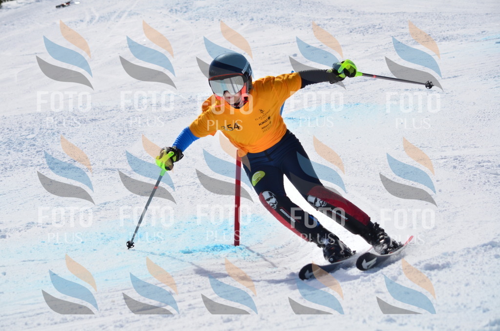 C9810 | holidayphoto