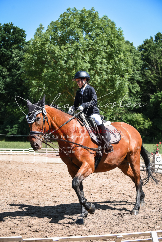 DSC_2958 | Pferde- und Turnierfotografie in Westsachsen. Pferdeportraits, Auftragszeichnungen und intuitive Kunst.