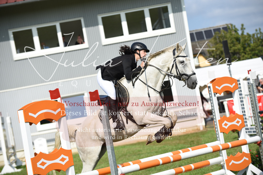 DSC_8909 | Pferde- und Turnierfotografie in Westsachsen. Pferdeportraits, Auftragszeichnungen und intuitive Kunst.