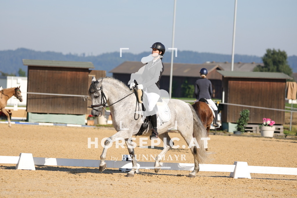 0P6A8698 | Willkommen bei Brunnmayr - Design & Fotografie – Ihrem Spezialisten für Reitturniere und Pferdeveranstaltungen in Oberösterreich, Salzburg und Bayern! Seit über 17 Jahren sind wir leidenschaftlich dabei.