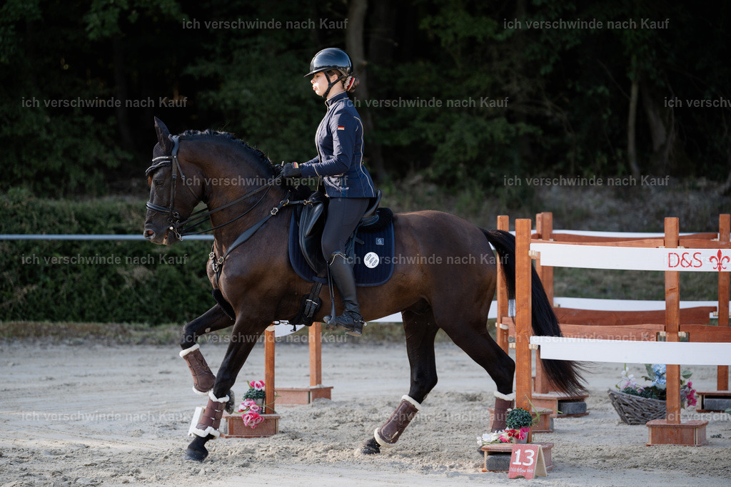 WM_ST_48_stoibphotography__SO10177 | working equitationturnier fotograf videograf stoibphotography marixx film working equitation deutschland reitsport turnierfotografie eventfotografie equestrian events
