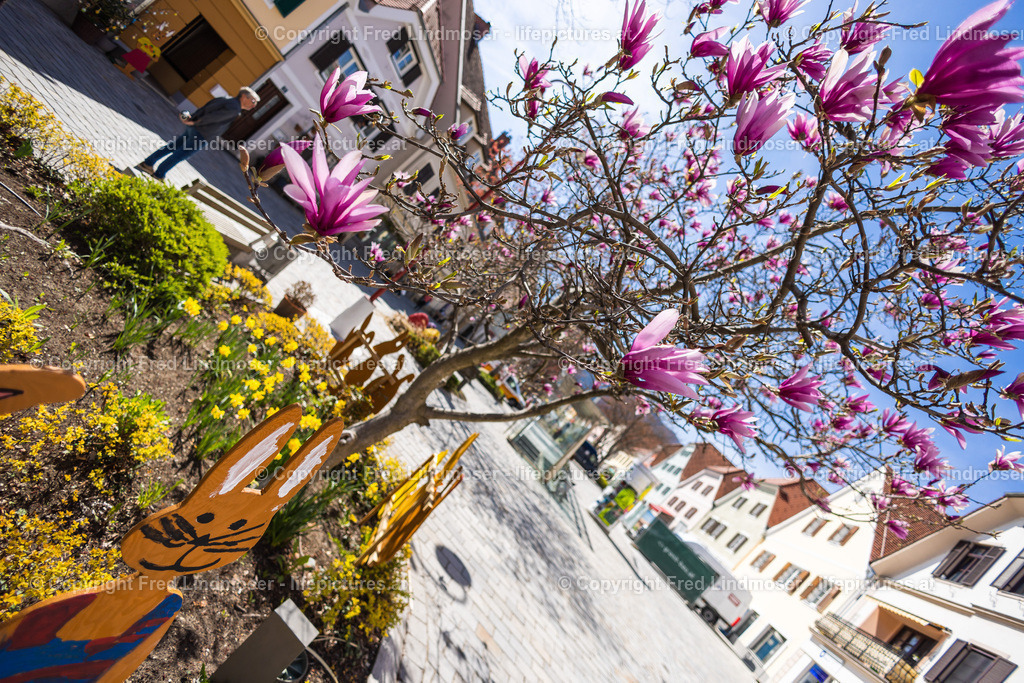 Frohnleiten Ostern Osterdeko 2022-5876 | Fotos und Fotoprodukte - Realisiert mit Pictrs.com