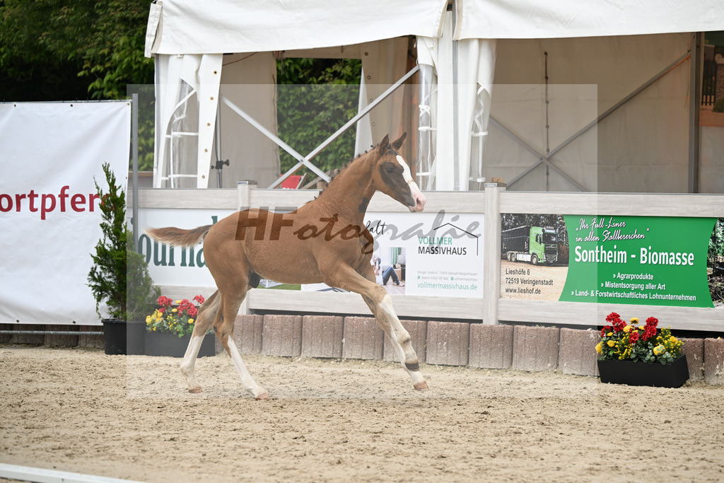 Filox x Borsalino_HF_Geiger_12250599 | hf-fotografie - Realizzato con Pictrs.com