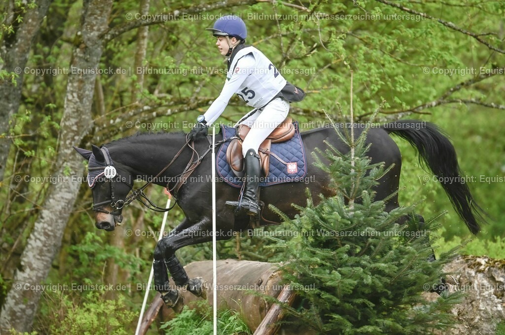 20230513_CCI2_Section2_Gelände_0392 | equistock