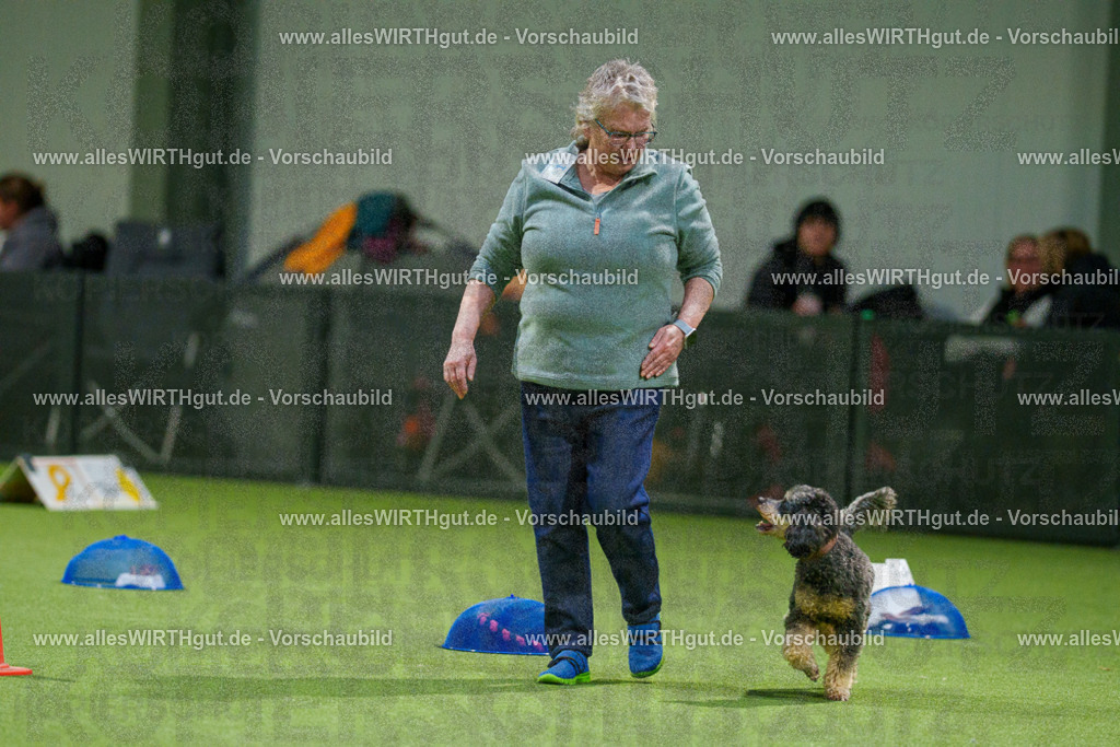7R504041 | Professionelle Tierfotografie in Mönchengladbach von Daniel Wirth (allesWIRTHgut). Liebevolle & natürliche Bilder von Hunden & Katzen für unvergessliche Erinnerungen.