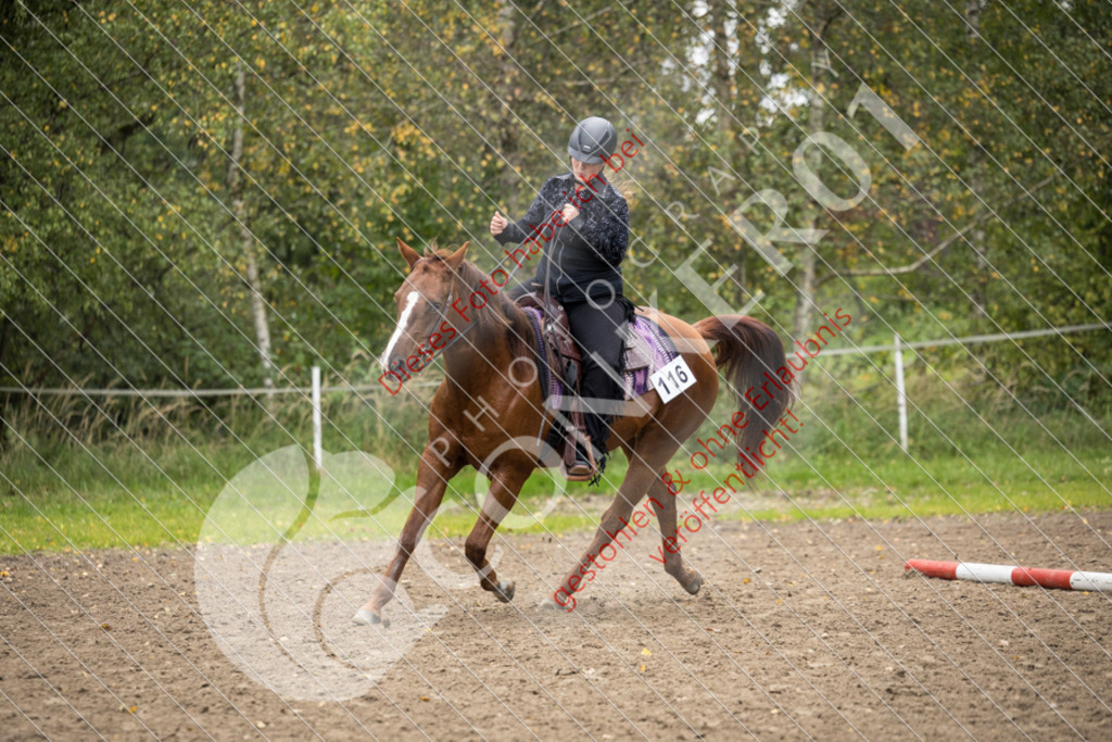 CON_9543 | Sport-, Event- und Tierfotos in Profiqualität. Einfach auswählen, bestellen und herunterladen. Dein Moment – perfekt festgehalten.