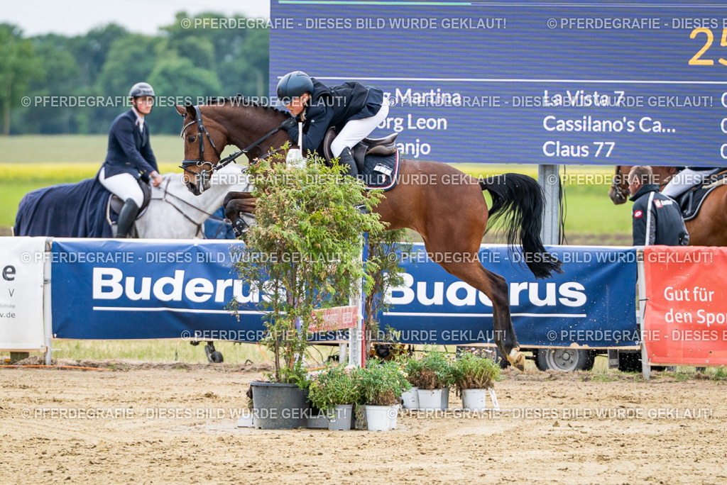 DSC06381 | Pferdegrafie