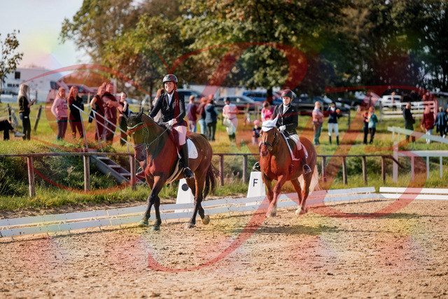 2026_10_03_Siefer-Hof_130344_Z63_66138813 | Professionelle Reitsport-, Turnier- und Eventfotografie von Robert Broda. Galerien mit ausgewählten und bearbeiteten Bildern direkt online ansehen und bestellen.