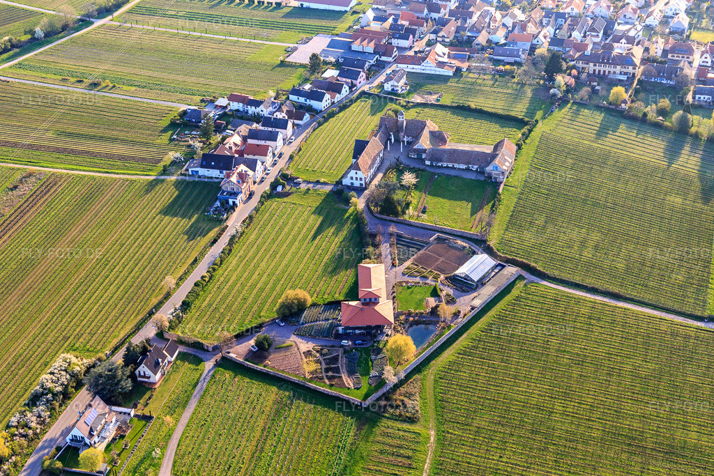Luftbild: Gärtnerei ams Kloster Heilsbruck in Edenkoben im Bundesland Rheinland-Pfalz in Deutschland. Foto: IMG_126327.jpg vom 04.04.2021 durch Werner Riehm/FLY-FOTO.de