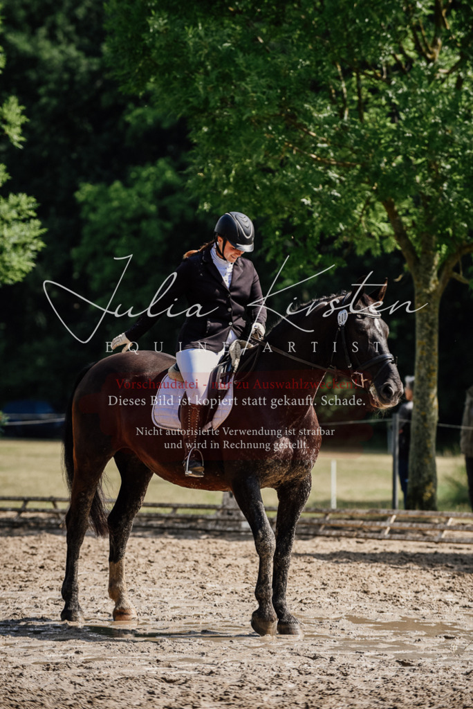 DSC_0164 | Pferde- und Turnierfotografie in Westsachsen. Pferdeportraits, Auftragszeichnungen und intuitive Kunst.