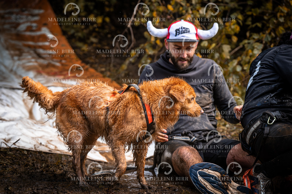 madeleinebirr-fotografie2025.campcanis.sa.15-16Uhr-182 | hundefotografie-birr