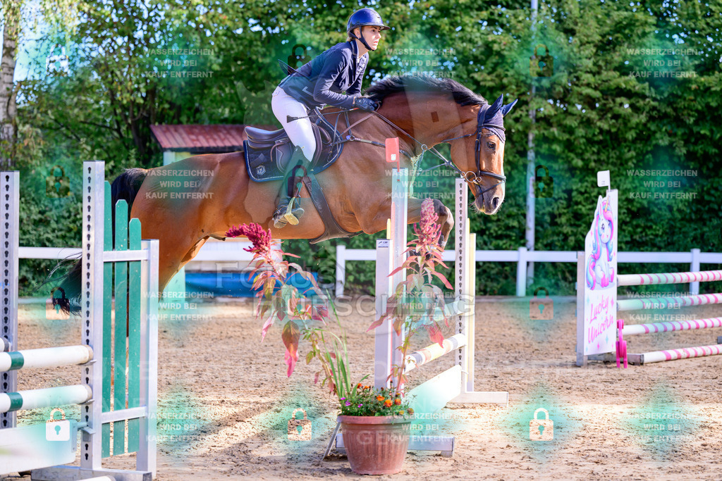 30082026-Giesenbach-Prfg16-0024 | Fokus Hufschlag Fotografie - Realisiert mit Pictrs.com