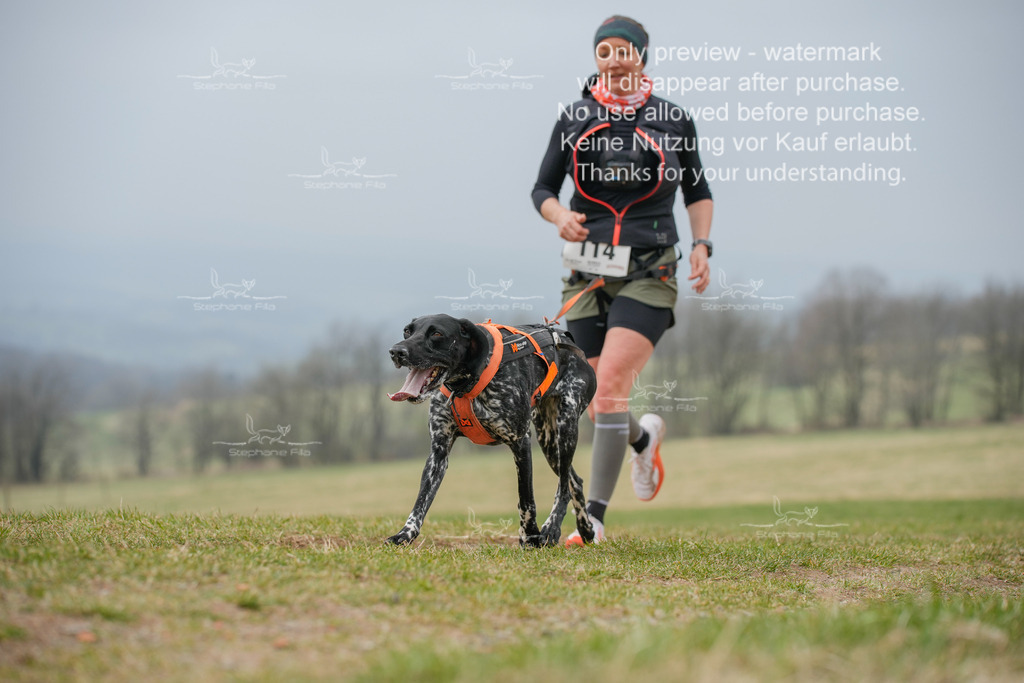 Canixlong-49 | stephaniefillaphotographie - Realisiert mit Pictrs.com