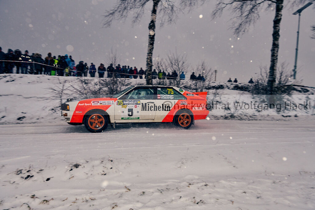 20250103_15-44-37_D85_7232_hackwolf.at_ | hackwolf - Realisiert mit Pictrs.com