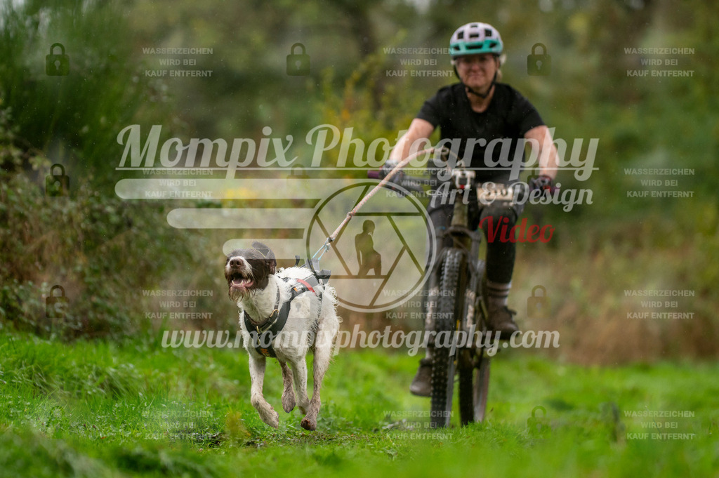 TSB_2023_E6_Bike-32 | PayLife