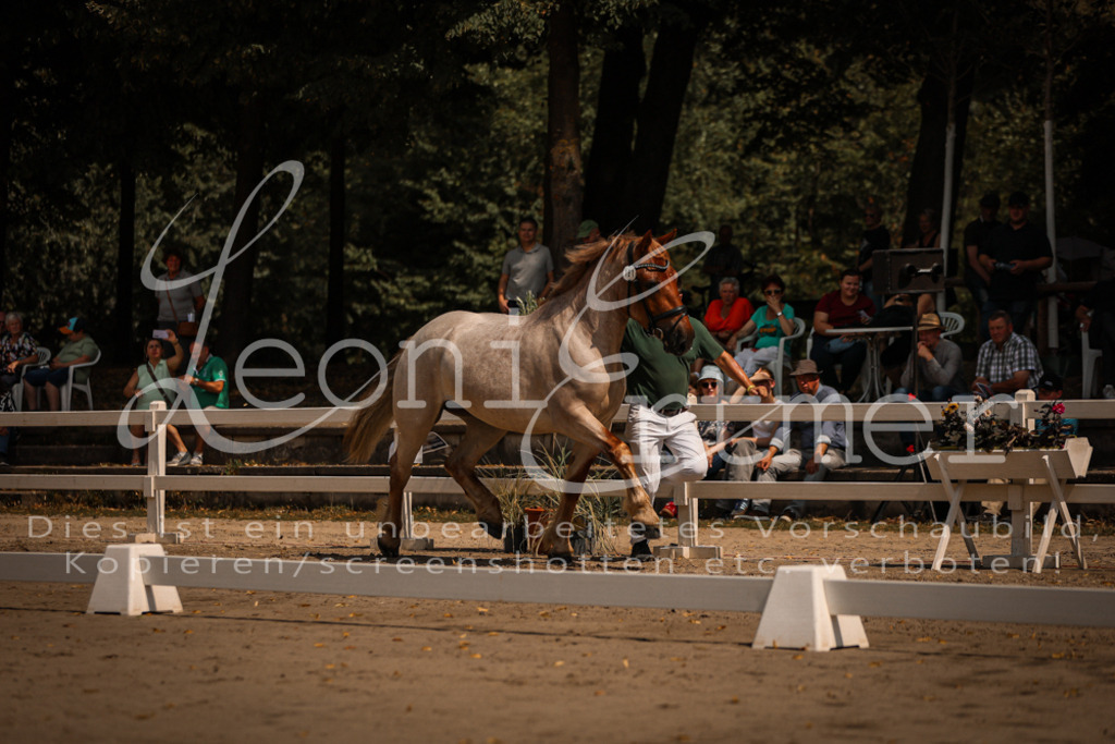 1.Sa00034 | Leoni Ertmer Photography - Realisiert mit Pictrs.com