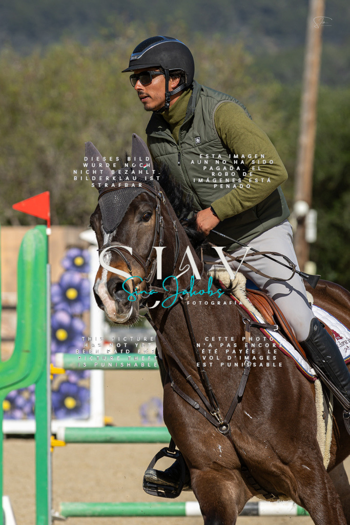 IMG_6764 | s-jay-photography - Realisiert mit Pictrs.com