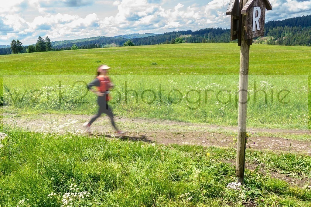 Rennsteiglauf Marathon 2024 | 25. Mai 2024 - 42,2 km von Neuhaus nach Schmiedefeld