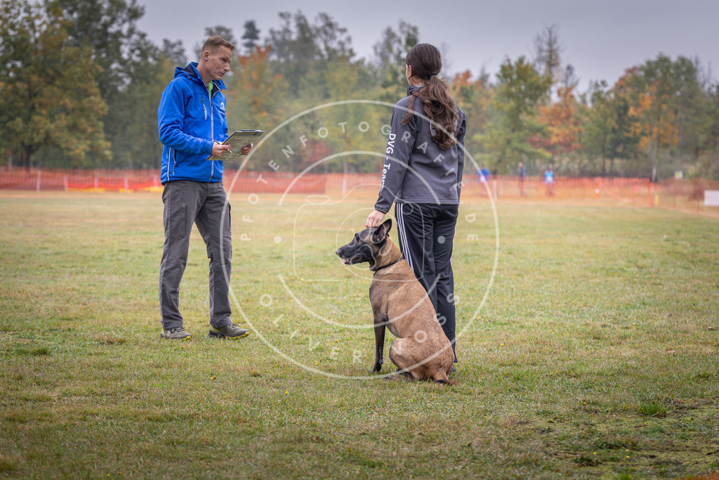 Pfotenfotografie_DV3A8764 | Hundefotografie, Tierfotograf, Pfotenfotografie, Fotoshooting Hund, Hunde Portrait, Hundesport, Hundeportraits, Heideshooting, Hunde, Sportfotograf, Hundefotograf, Turnierhundsport, THS,  - Realisiert mit Pictrs.com