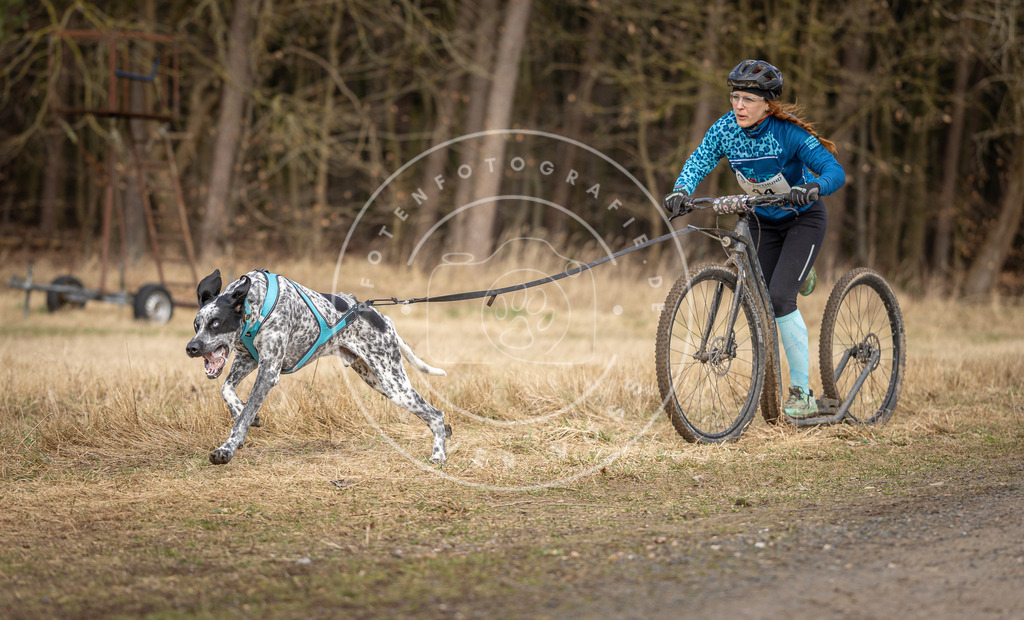DV3A4655 | Hundefotografie, Tierfotograf, Pfotenfotografie, Fotoshooting Hund, Hunde Portrait, Hundesport, Hundeportraits, Heideshooting, Hunde, Sportfotograf, Hundefotograf, Turnierhundsport, THS,  - Realisiert mit Pictrs.com