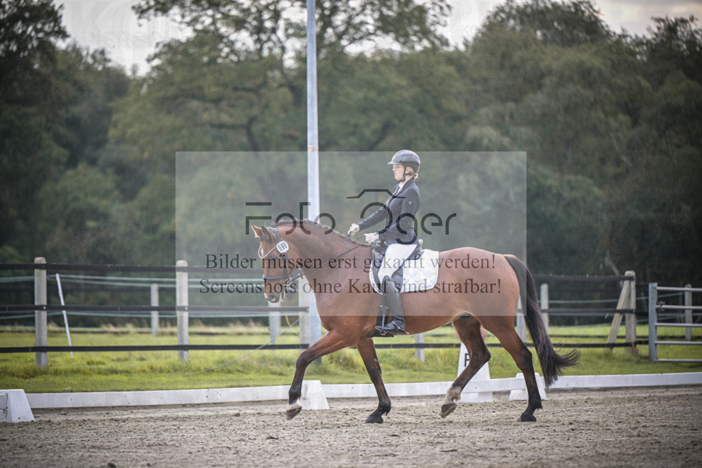 DOS_1731 | Entdecke hochwertige Reitturnierfotos von Foto Oger. Professionell, emotional und authentisch – jetzt Lieblingsmomente im Shop bestellen.Deutschlandweite Turnierfotografie. - Realisiert mit Pictrs.com
