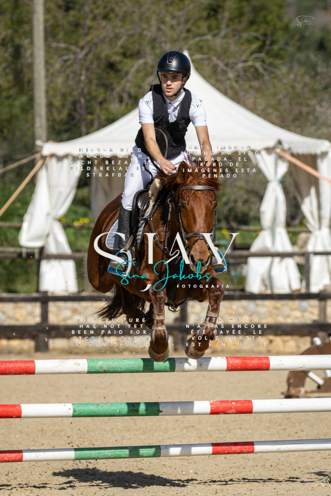 IMG_6473 | s-jay-photography - Realisiert mit Pictrs.com