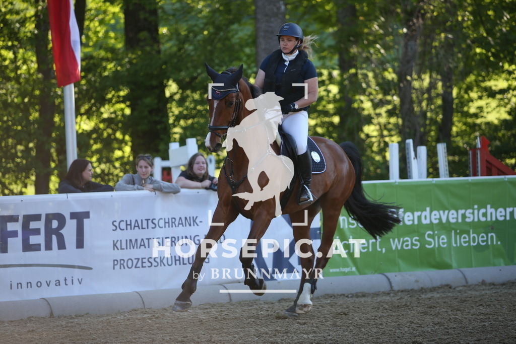PP010658 | Willkommen bei Brunnmayr - Design & Fotografie – Ihrem Spezialisten für Reitturniere und Pferdeveranstaltungen in Oberösterreich, Salzburg und Bayern! Seit über 17 Jahren sind wir leidenschaftlich dabei.