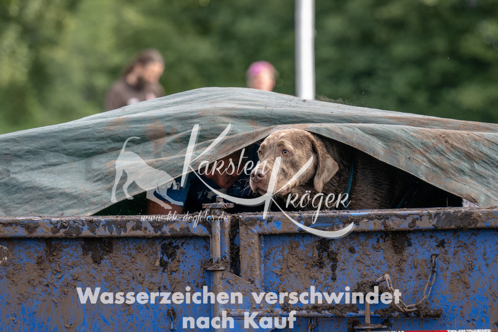 1213_ZZ90229 | kk-dogfotos