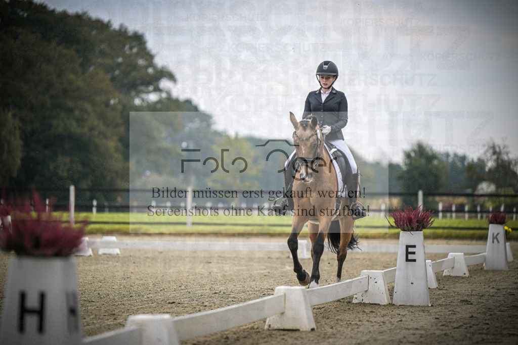 DOS_B413 | Entdecke hochwertige Reitturnierfotos von Foto Oger. Professionell, emotional und authentisch – jetzt Lieblingsmomente im Shop bestellen.Deutschlandweite Turnierfotografie. - Realisiert mit Pictrs.com