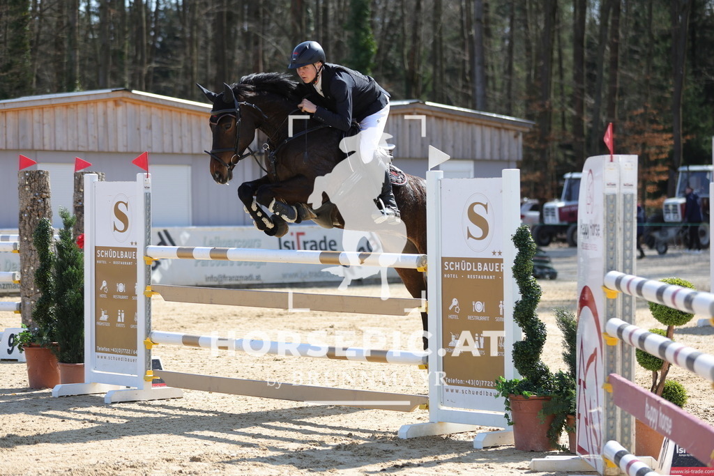 0P6A1265 | Willkommen bei Brunnmayr - Design & Fotografie – Ihrem Spezialisten für Reitturniere und Pferdeveranstaltungen in Oberösterreich, Salzburg und Bayern! Seit über 17 Jahren sind wir leidenschaftlich dabei.