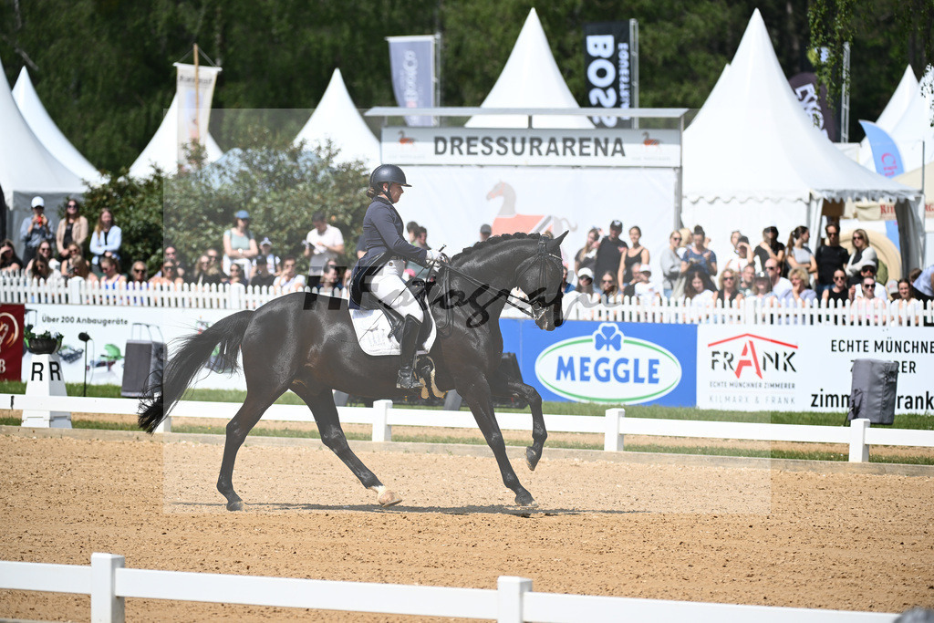 Merk_Sambuco_12243640 | hf-fotografie - Realisiert mit Pictrs.com