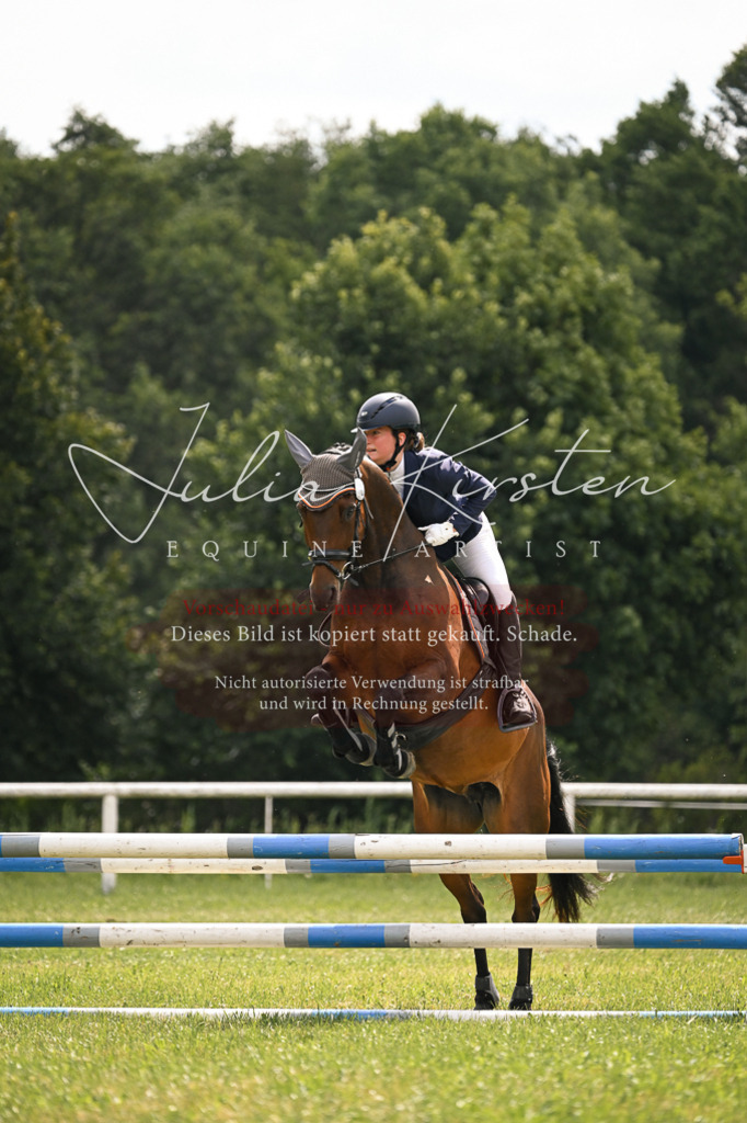 DSC_9130 | Pferde- und Turnierfotografie in Westsachsen. Pferdeportraits, Auftragszeichnungen und intuitive Kunst.