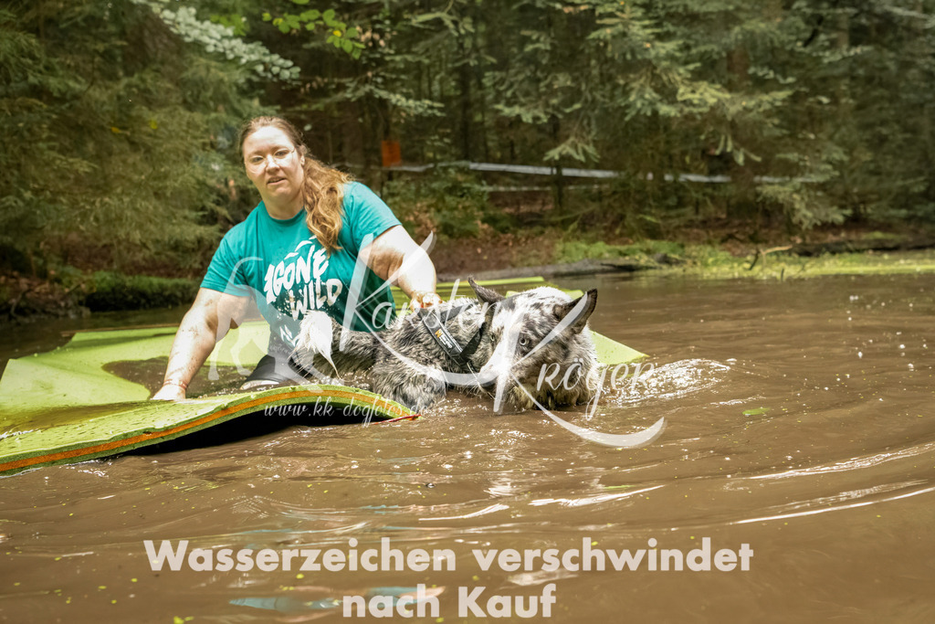 1205_ZZ92584-Bearbeitet | kk-dogfotos