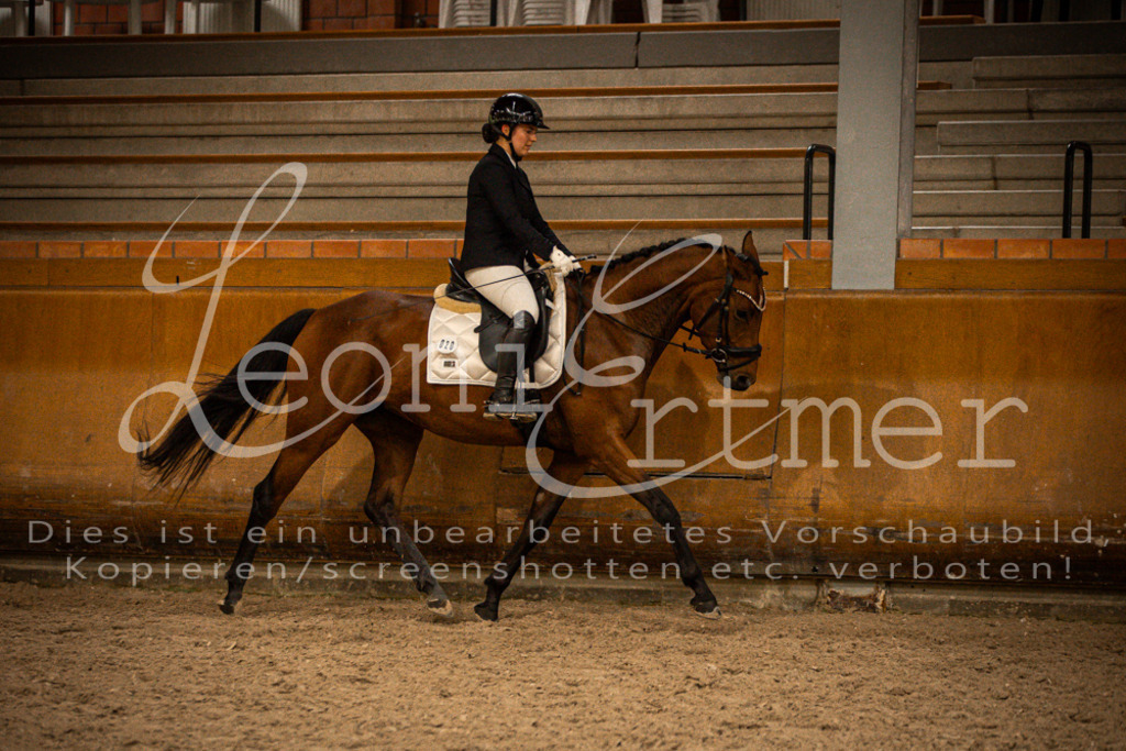 2Reiten00243 | Leoni Ertmer Photography - Realisiert mit Pictrs.com