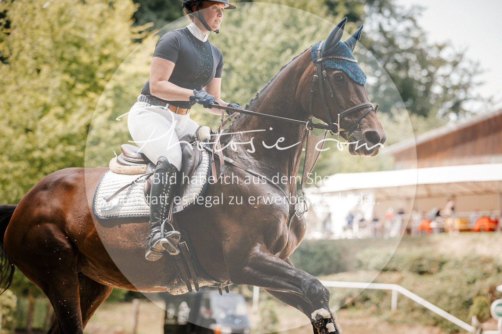 3I6A7794 | Stimmungsvolle Portraits und Reitsportfotografie im Ruhrgebiet und im Münsterland.

Pferdefotografie, Hundefotografie, Tierfotografie, Reportagen, Portraits von Tier und Mensch, Turnierfotografie in Bochum, Recklinghausen, Marl, Haltern am See, Dülmen.. - Realized with Pictrs.com