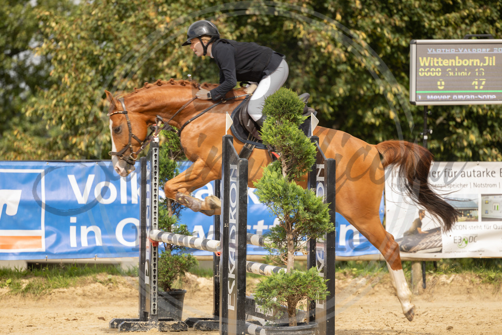 994A7774 | sabrinanicolaifotografie - Realisiert mit Pictrs.com