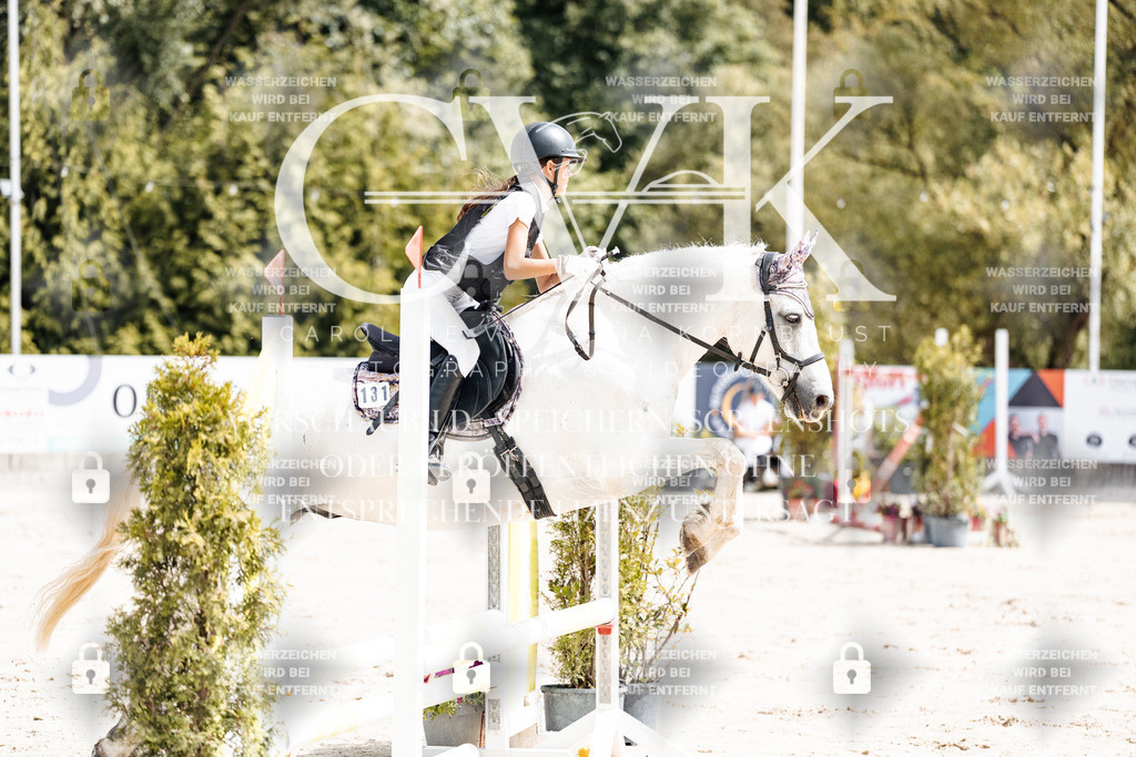 CK906490 | Turnierfotografie Pferdefotografie Trier Rheinland-Pfalz Pferdesport Reitsport Tierfotografie Sportfotografie Pferdevideo Pferdevideografie Equestrianvideography equestrianphotography  - Realisiert mit Pictrs.com