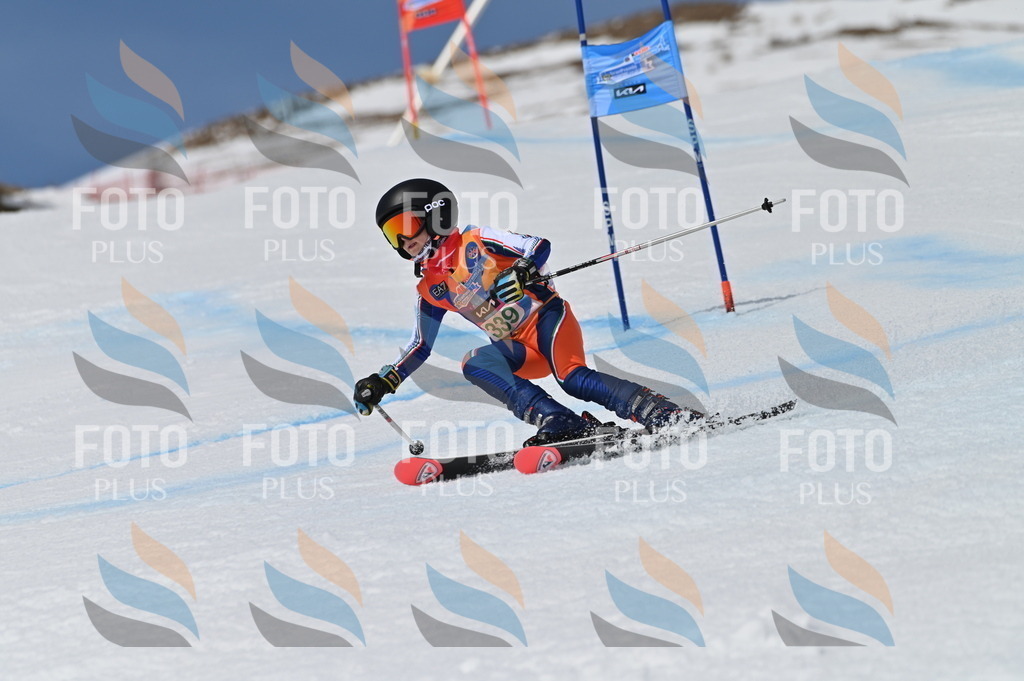 BGV_6725 | holidayphoto