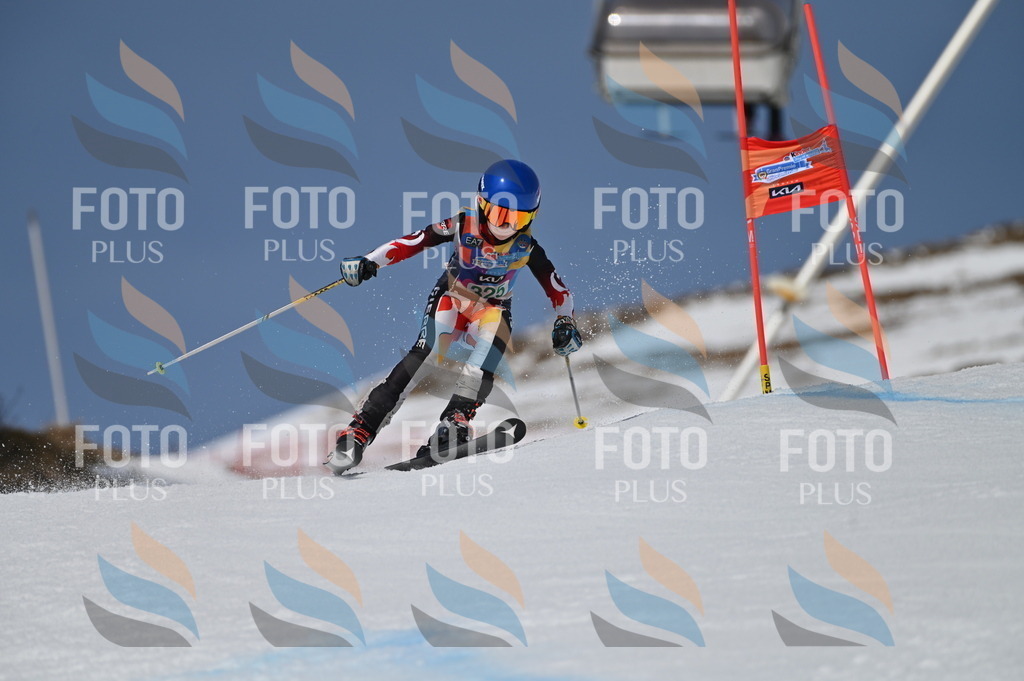 BGV_6427 | holidayphoto