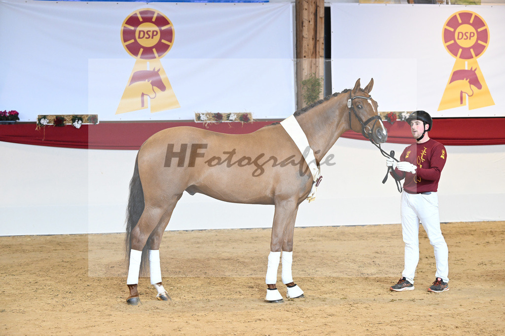 Kat-Nr. 78 Viva Gold_Casper u Eulich_1232188 | hf-fotografie - Realisiert mit Pictrs.com
