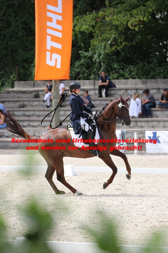 IMG_1799 | lmwpictures - Realisiert mit Pictrs.com