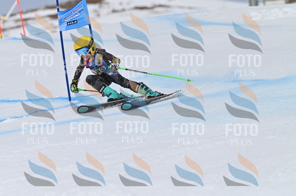 BGV_4137 | holidayphoto