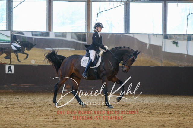 IMG_7579 | Turniersportfotografie; Pferdefotografie; Dressurfotografie