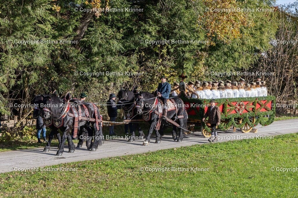 LBT24-385 | foto-bettina-krinner - Realisiert mit Pictrs.com