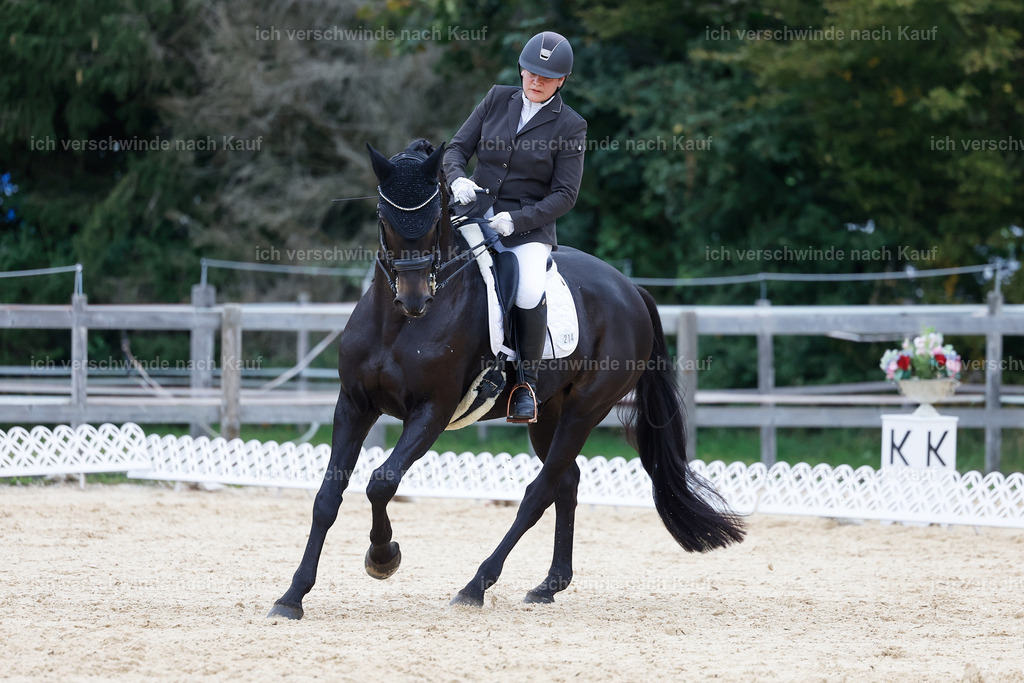 04_2-214-Dressur M__ -StoibPH-2948 | working equitationturnier fotograf videograf stoibphotography marixx film working equitation deutschland reitsport turnierfotografie eventfotografie equestrian events