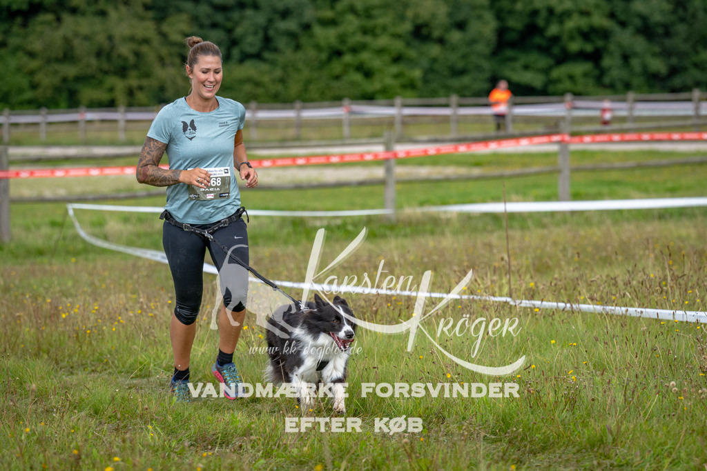 1340_ZZ90540 | kk-dogfotos